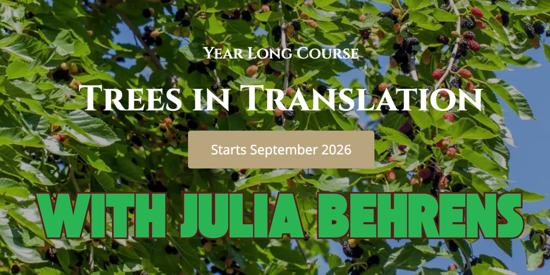 Trees in Translation: A One Year Course with Julia Behrens